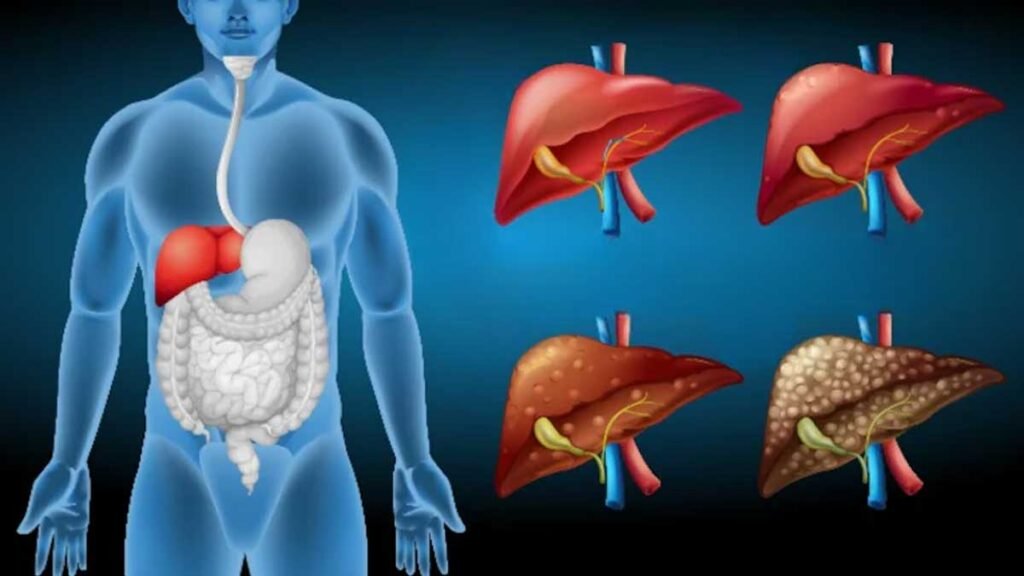 लिवर पर कैसे पड़ता है असर