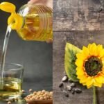 बार-बार गर्म किया गया कुकिंग ऑयल और लिवर स्वास्थ्य