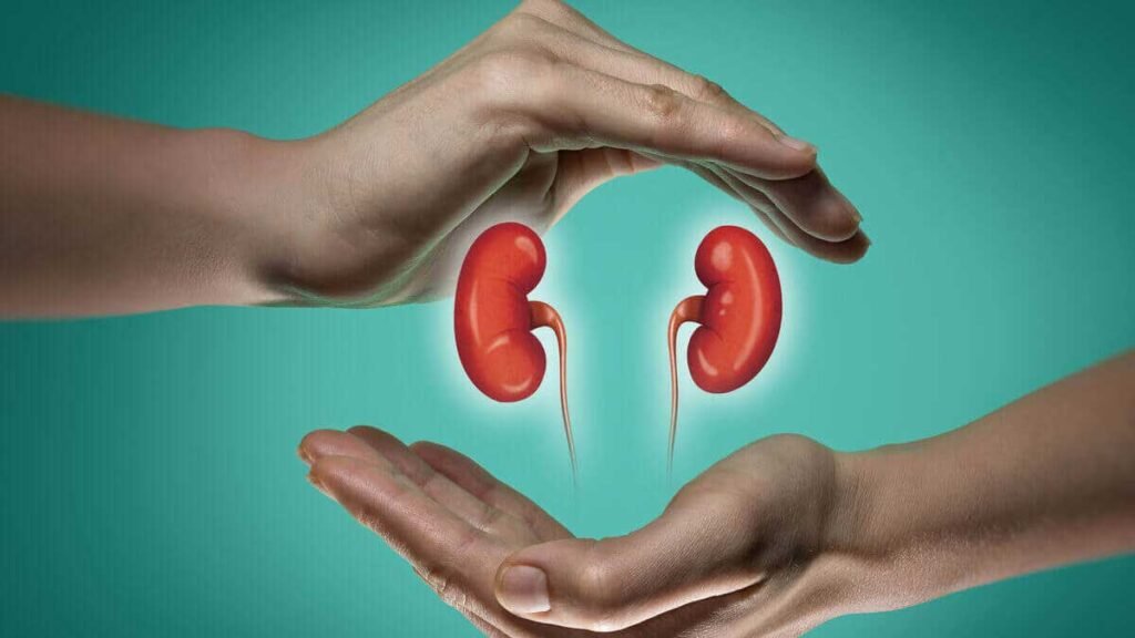 स्वस्थ किडनी के लिए अपनाएं ये जरूरी आदतें