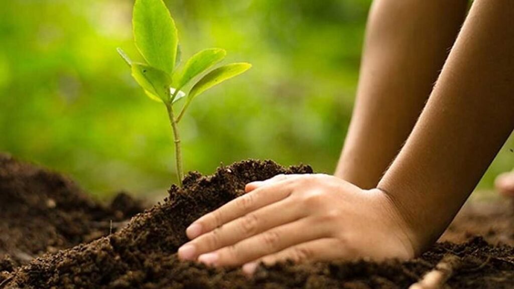 पर्यावरण पर भी पड़ सकता है असर