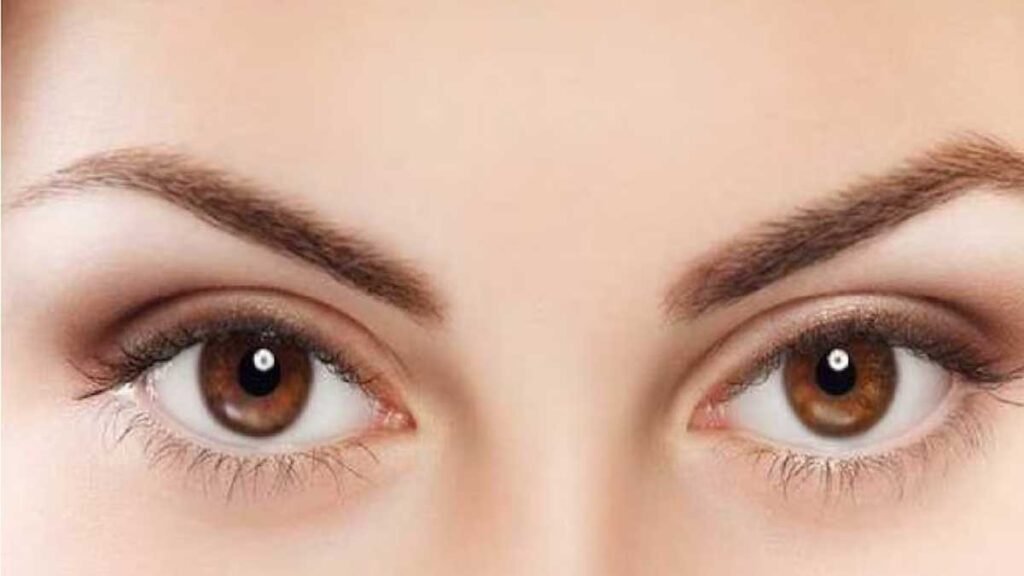 आंखों और इम्यूनिटी के लिए जरूरी पोषक तत्व