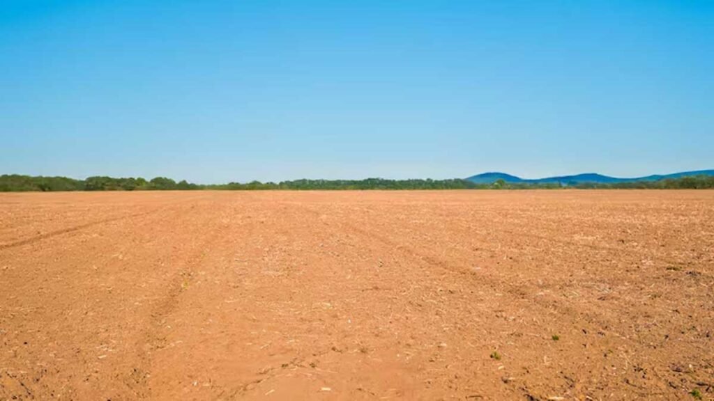 पास-पड़ोस के इलाकों में छिपा होता है बड़ा मौका