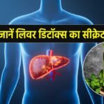 नींबू और पुदीने से बना हेल्दी ड्रिंक