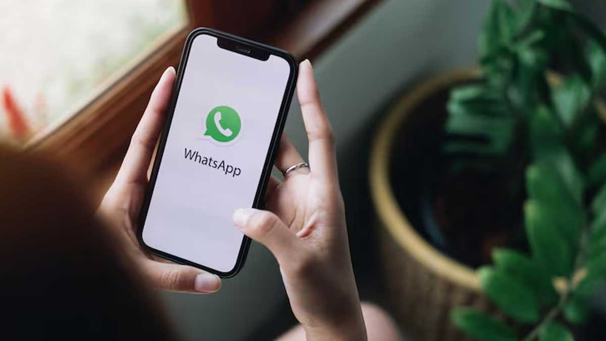 WhatsApp Plus फीचर्स और सब्सक्रिप्शन जानकारी