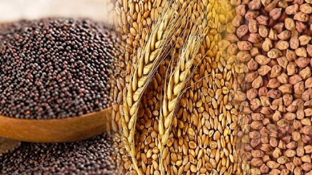 50 प्रतिशत तक सब्सिडी का लाभ