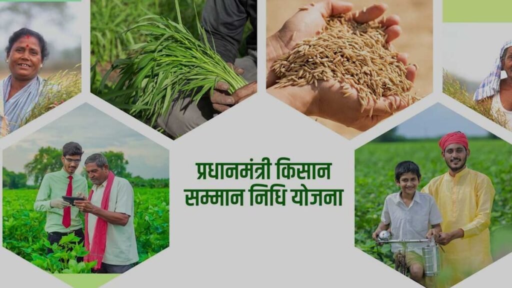 किसानों को तुरंत करना होगा यह जरूरी काम