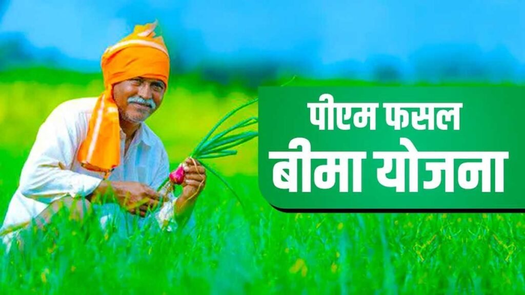 किन फसलों का कराया जा सकता है बीमा