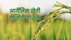 Organic Farming करने वाले किसानों को सरकार दे रही सब्सिडी