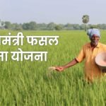 कम प्रीमियम में किसानों को फसल सुरक्षा प्रदान करती PM फसल बीमा योजना।