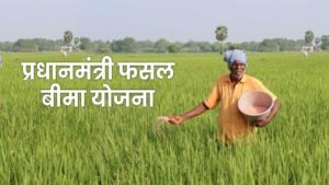 कम प्रीमियम में किसानों को फसल सुरक्षा प्रदान करती PM फसल बीमा योजना।