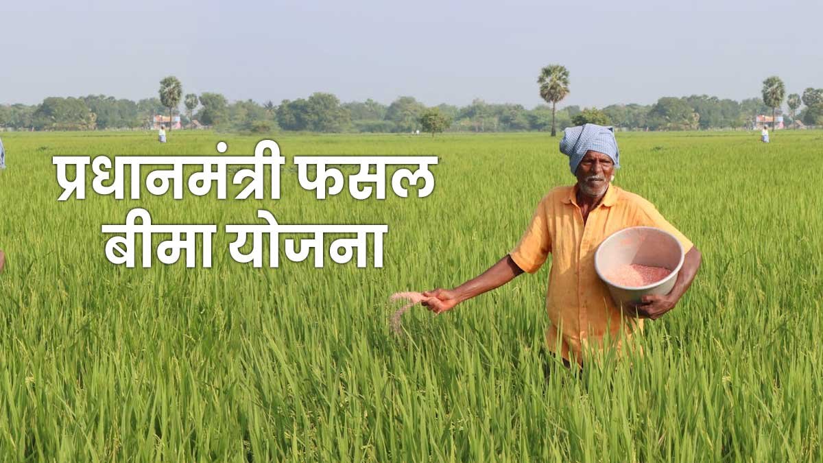 कम प्रीमियम में किसानों को फसल सुरक्षा प्रदान करती PM फसल बीमा योजना।