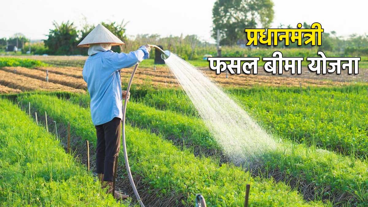 बटाईदार किसान खेत में फसल की जांच करते हुए