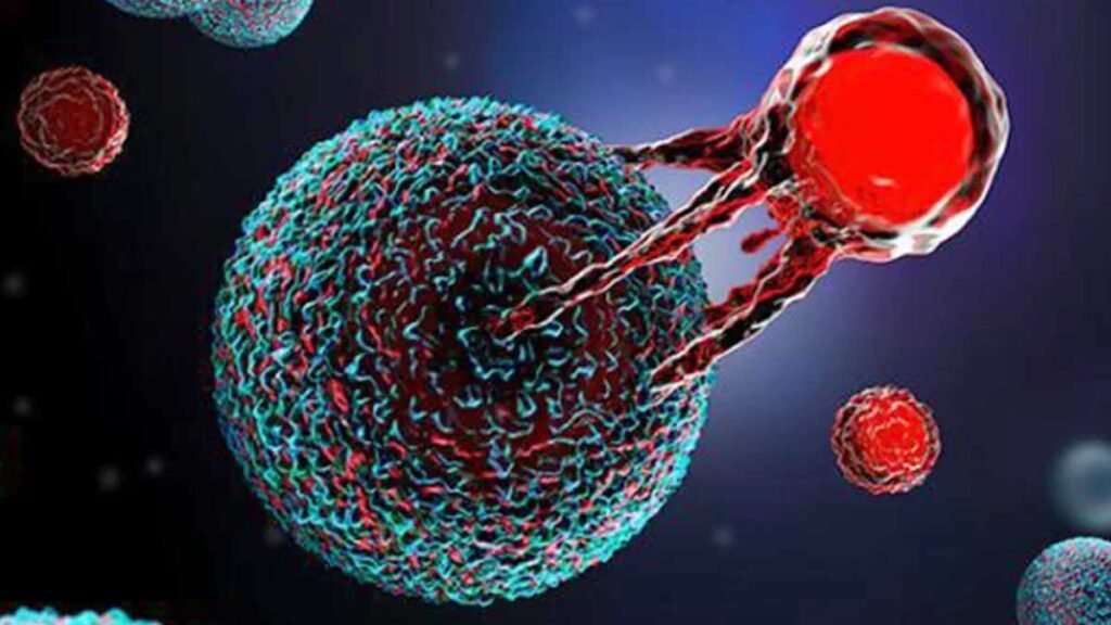 CAR T-Cell थेरेपी ने खोले इलाज के नए रास्ते