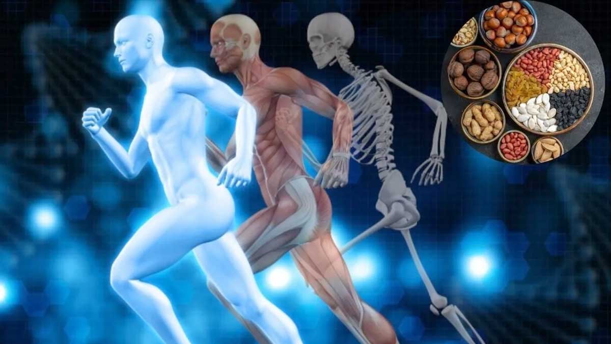 हड्डियों को मजबूत बनाने वाले ड्राई फ्रूट्स