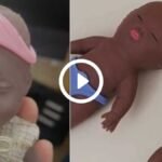 china natasha doll controversy racism violence social media